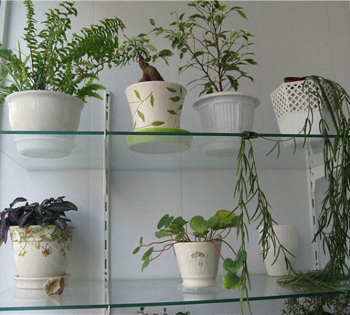 رفوف مع أقواس