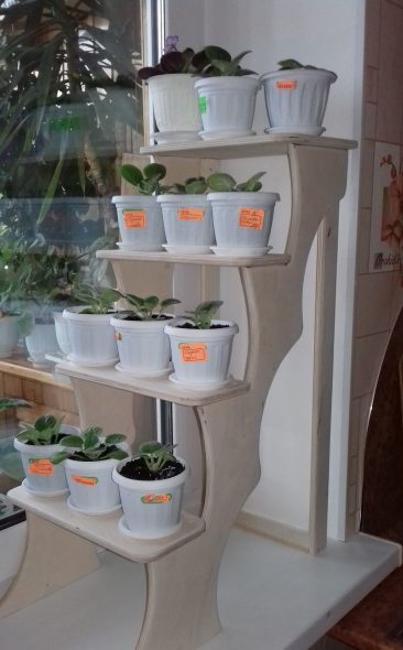 الخشب الرقائقي الجرف