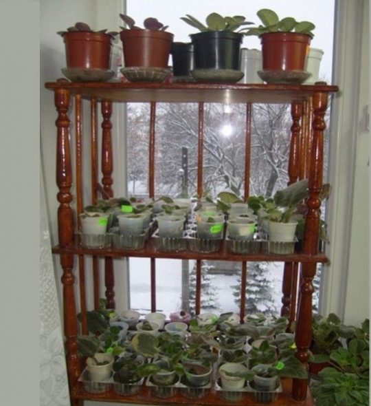 رف رف من الخشب