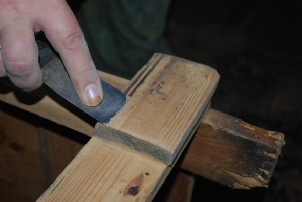 شظايا المعجون