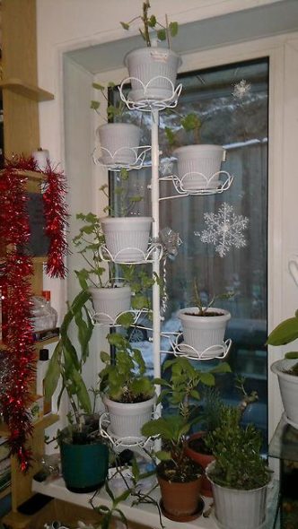 فاصل مع رفوف للنباتات