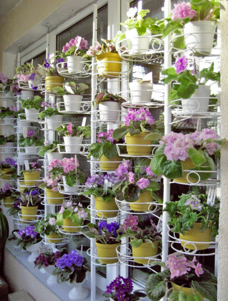 فاصل مع تنسيق الزهور