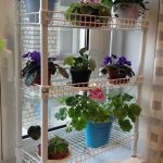 رف للزهور في ثلاث طبقات على النافذة