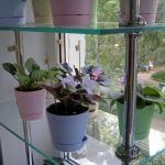 رف من أنابيب الكروم و 5 أرفف زجاجية للنوافذ