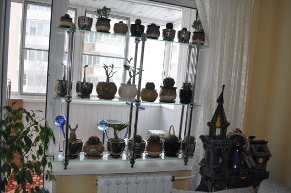 رف الأنابيب