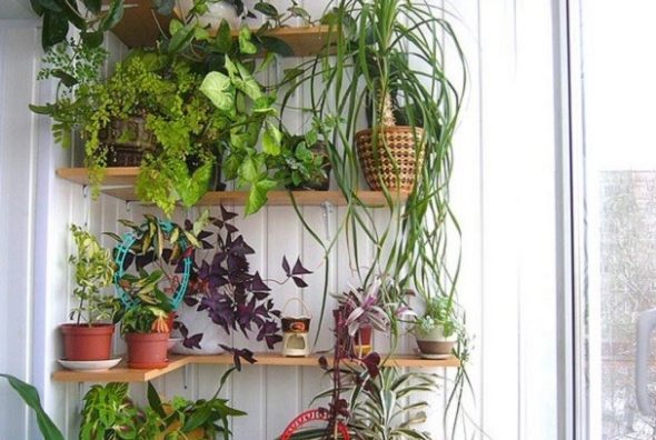 الجرف الزاوية