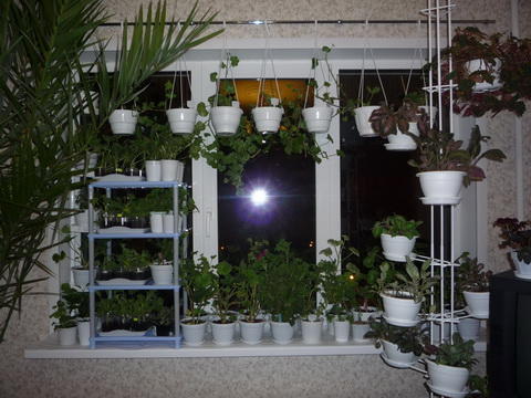 نافذة بها الكثير من الألوان