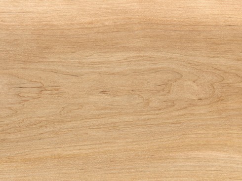 الزيزفون الأثاث