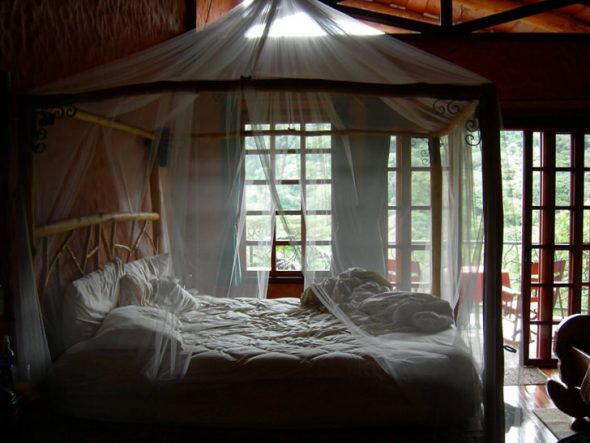 شفافة ، مظلة رقيقة