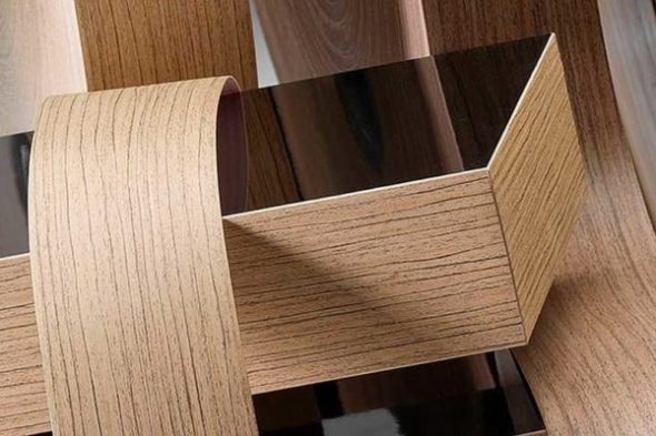 حافة القشرة