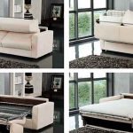 يمكن للصدف الأمريكي أن يتحمل الأحمال الثقيلة التي تصل إلى 220-250 كجم