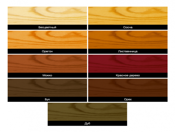 تشكيلة لاختيار الورنيش