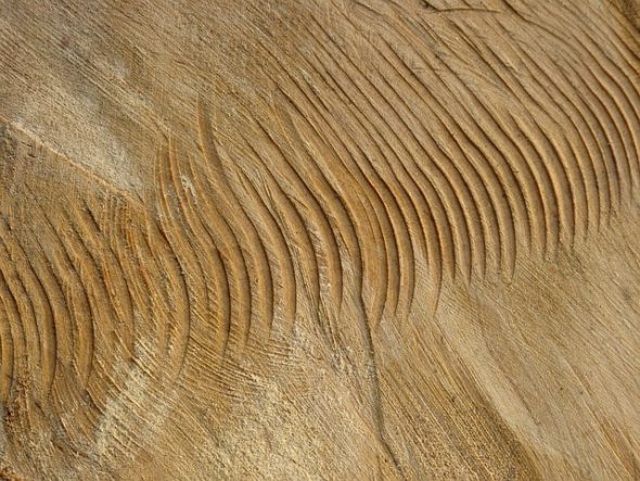 الملمس والرسم