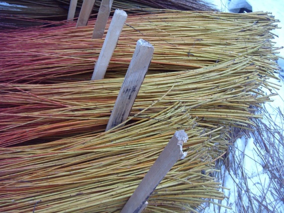 قضبان الصفصاف