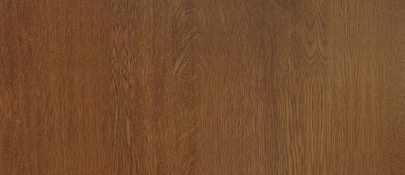 البلوط الصلب