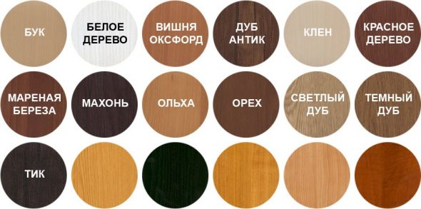 أنواع الأشجار