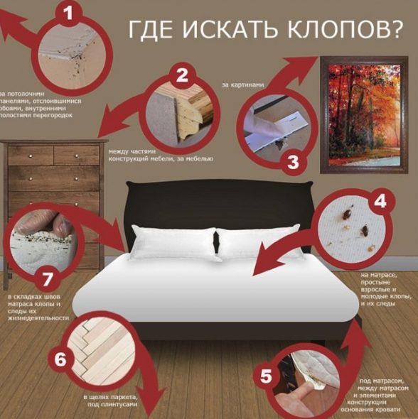 مصدر العدوى