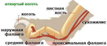 موقع الاصبع