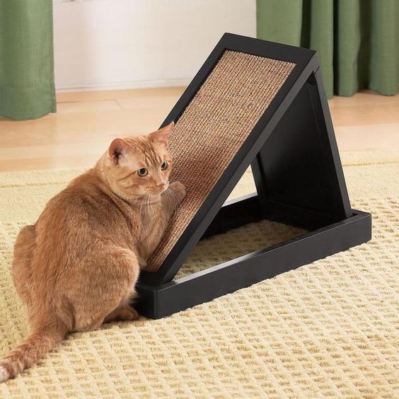 للطي kogtetochka