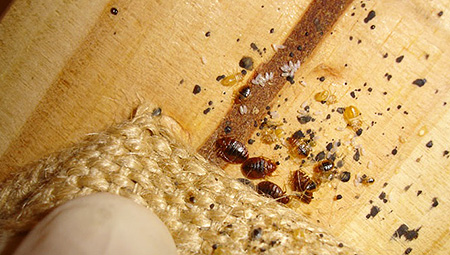 آثار الحياة