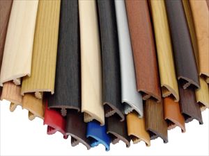 الشخصية على شكل حرف T