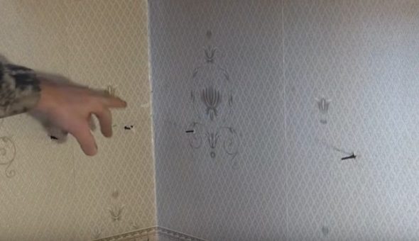 تصاعد المسامير