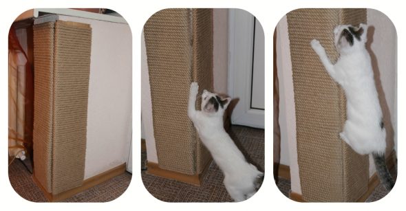 مكشطة زاوية