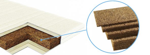 جوز الهند جوز الهند