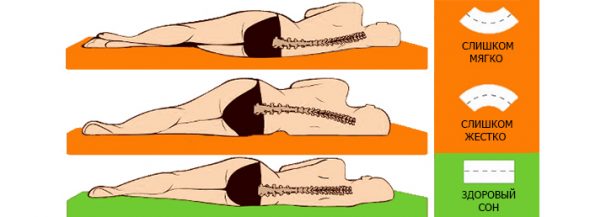 تأثير العظام