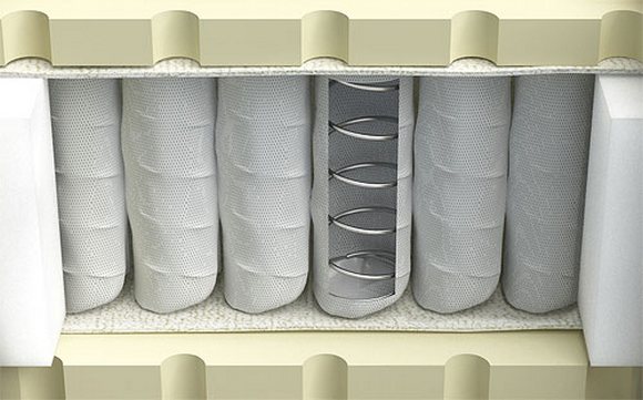 ضمان دعم الجسم السليم