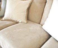 ماذا تفعل إذا لم تذهب القط إلى الدرج ، وعلى الأريكة