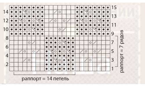 تقرير المخطط