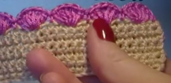 حافة القوقع