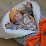 تحويل بطانية الثعلب ماكر