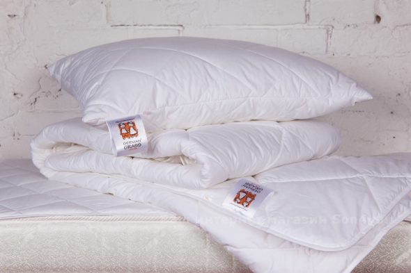 تحتاج الوسائد والبطانيات أيضًا إلى تنظيفها وغسلها.