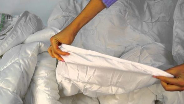 تنظيف المهنية من الصوف الهجن