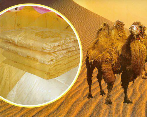 بطانية الصوف