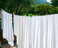 الفراش الأبيض