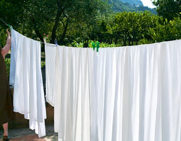 الفراش الأبيض