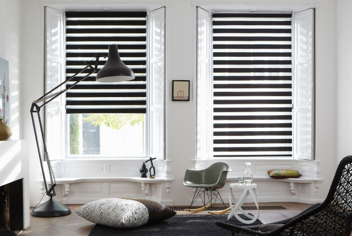 ستائر رول زيبرا في داخل غرفة المعيشة