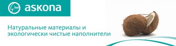 مراتب الأطفال Ascona