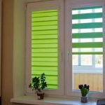 الستائر الخضراء الفاتحة حمار وحشي على نافذة المطبخ