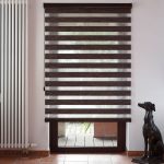 تمثال صغير لكلب في غرفة المعيشة الداخلية