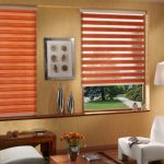 ستائر جزرة على نوافذ غرفة المعيشة