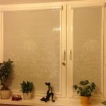 النباتات المنزلية على النافذة البلاستيكية