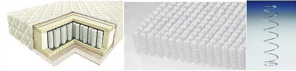 تكاثر أكثر تشريحية