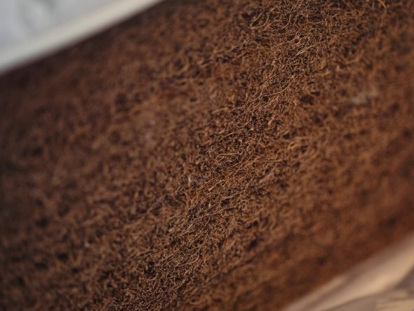 جوز الهند حشو جوز الهند