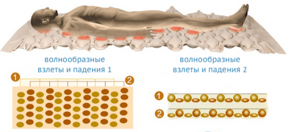 استخدام مراتب خاصة