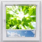 أوراق خضراء على فرع شجرة