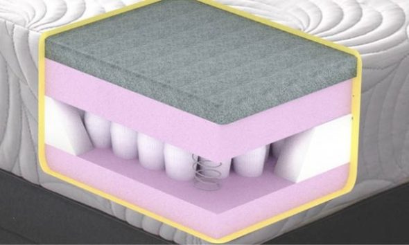 فراش الربيع